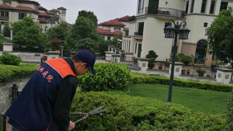 现代园林景观设计风格特点解析