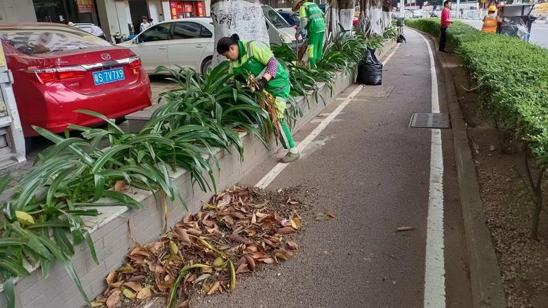 园林绿化养护管理工具：如何选择与使用**