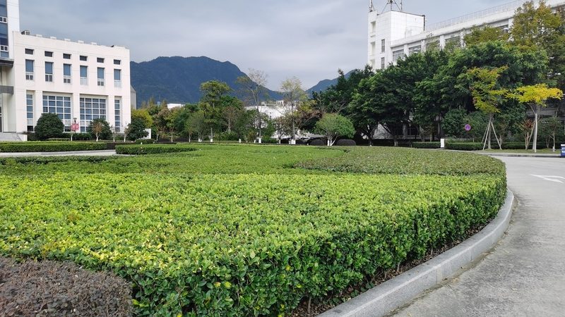 上海边坡绿化施工队：揭秘高效边坡绿化之道**