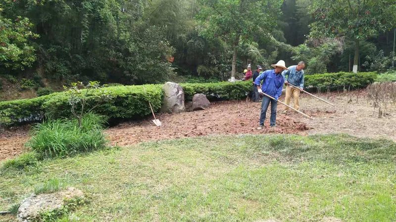 绿植租赁合同模板：规范操作，保障双方权益
