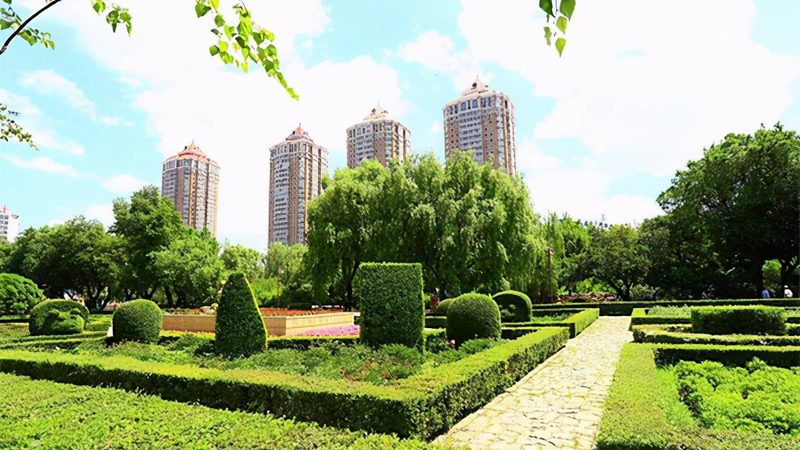 山地苗木种植技术教程：如何提高成活率与施工质量