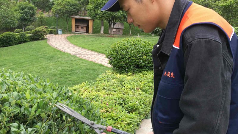 边坡绿化售后哪家强？关键看这几点**