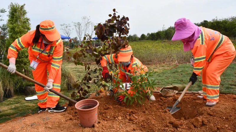 别墅花园设计施工验收标准全解析**