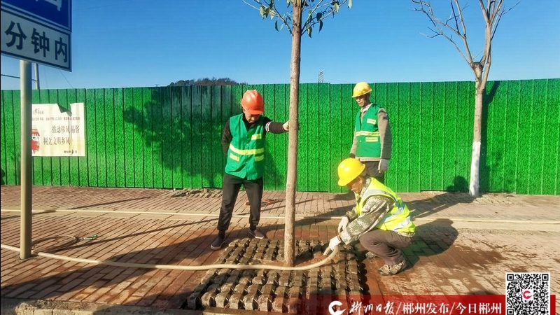 庭院植物四季常绿，如何打造？**