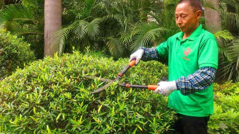 成都园林景观设计报价清单：揭秘园林设计成本构成