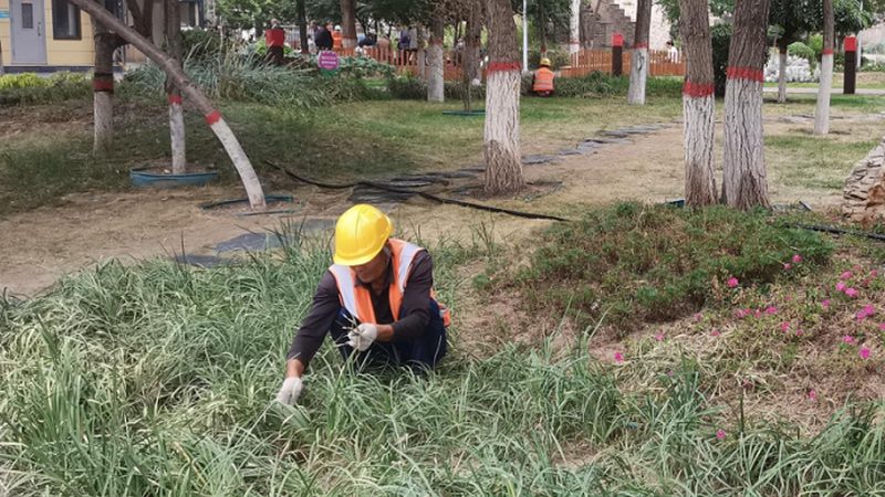 家用小型自动割草机器人型号推荐