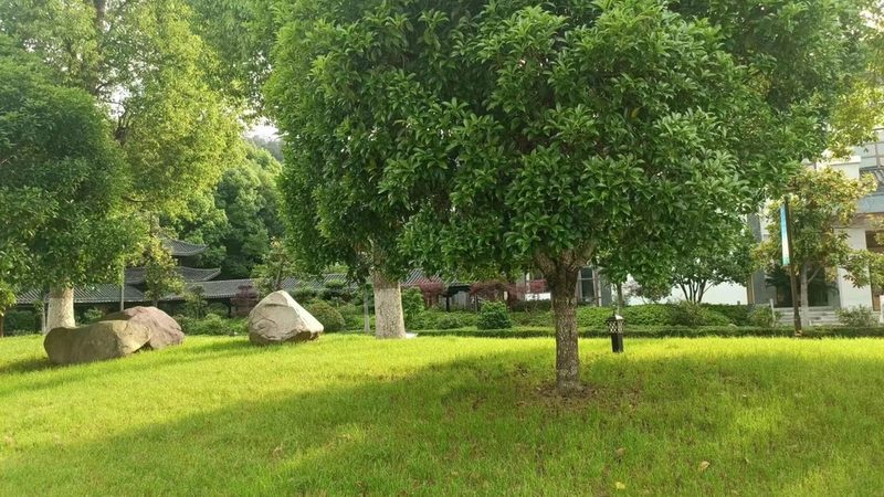 植生袋安装验收，这些标准你了解吗？**