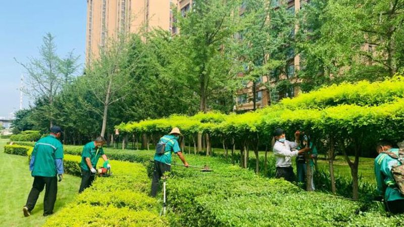 轻型屋顶绿化基质，加盟还是自配更划算